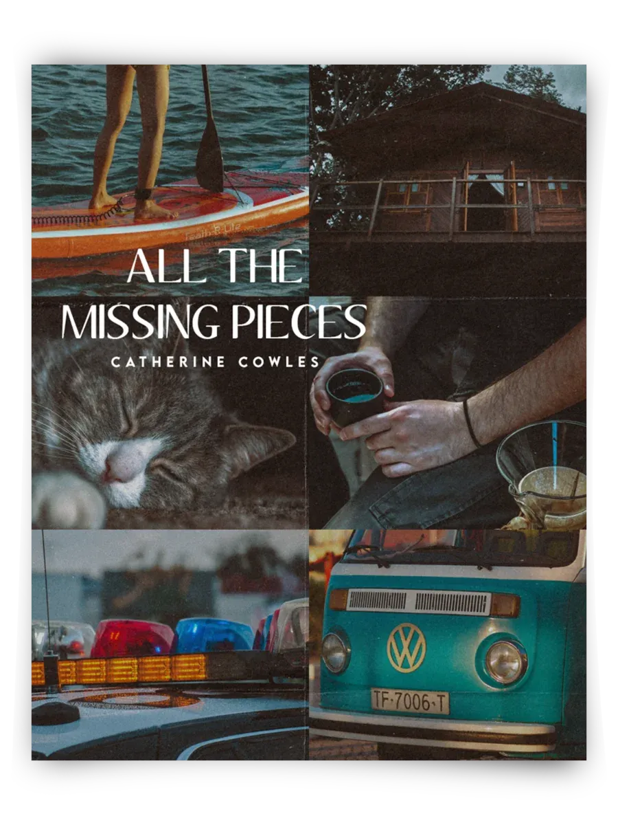 All the Missing Pieces by Catherine Cowles